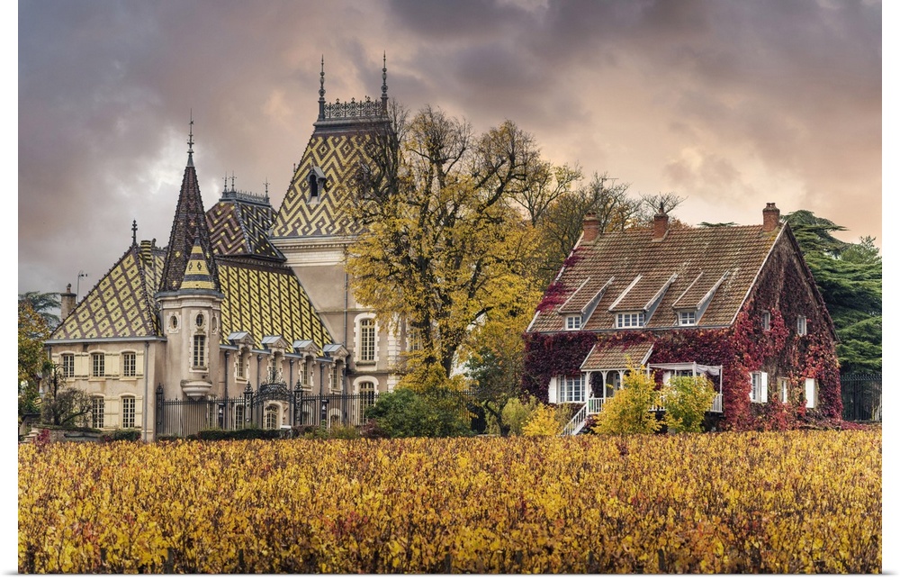 Bourgogne wine region (Burgundy), France, Europe. Autumn landscape, vineyards luxury houses and castle