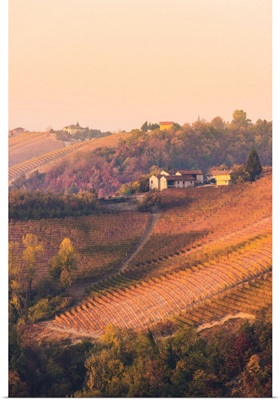 Barolo, Cuneo Province, Piedmont, Italy