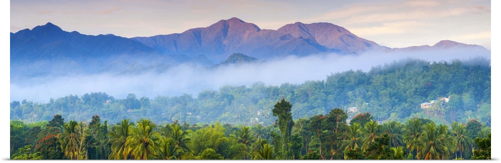 Blue Mountains, Portland Parish, Jamaica, Caribbean