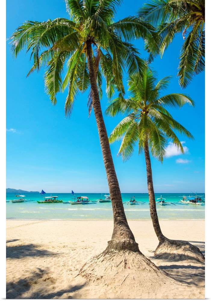Boats and palm trees on White Beach, Boracay Island, Aklan Province, Western Visayas, Philippines.