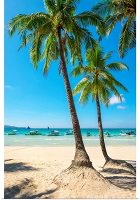 Boats And Palm Trees On White Beach, Boracay Island, Western Visayas, Philippines