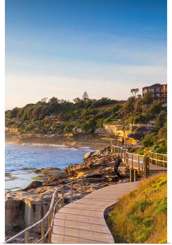 Bondi To Bronte Walk, Bondi Beach, Sydney, New South Wales, Australia