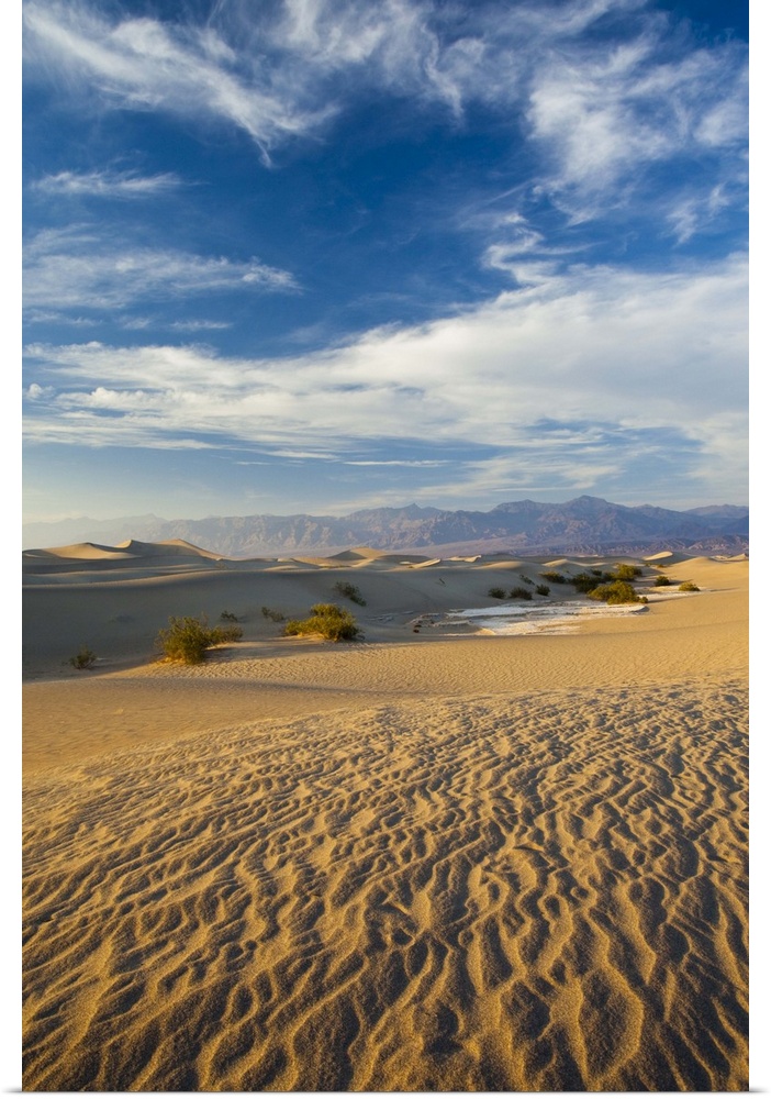 USA, California, Death Valley National Park, Mesquite Flat Sand Dunes, late afternoon