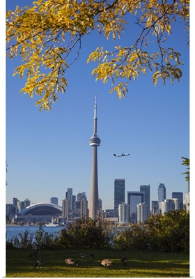 Canada, Ontario, Toronto, View of CN Tower and city skyline from Center Island