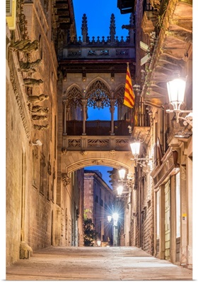 Carrer Del Bisbe Street, Gothic Quarter, Barcelona, Catalonia, Spain