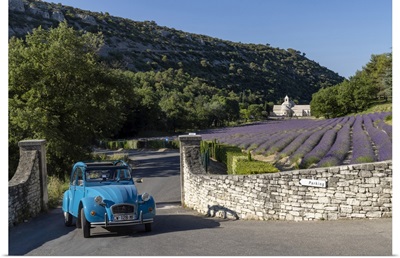 Citroen 2CV, Senanque Abbey, And Field Of Lavender, Provence-Alpes-Cote d'Azur, France