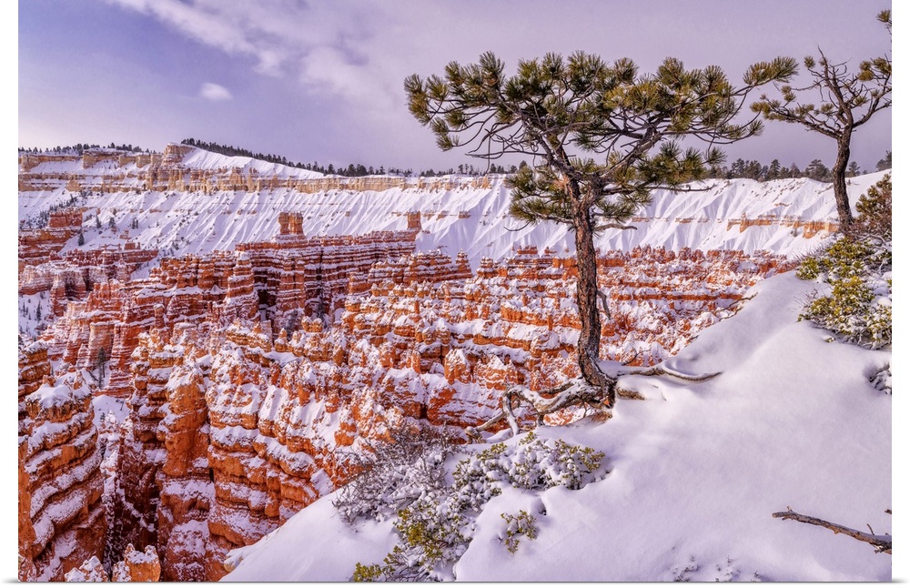USA, Southwest, Colorado Plateau, Utah, Bryce Canyon, National Park
