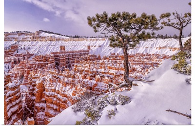 Colorado Plateau,Utah,Bryce Canyon, National Park