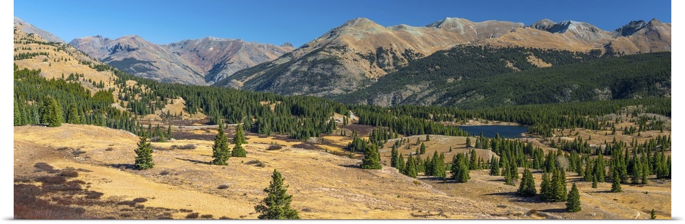 USA, Colorado, San Juan Mountains, San Juan National Forest, Molas Pass