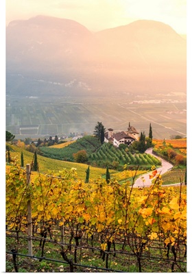 Cortaccia On The Wine Route-Europe, Italy, Trentino Alto Adige, Bolzano Province