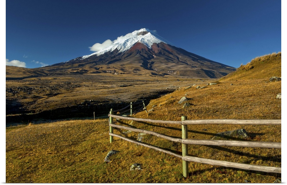 Cotopaxi National Park, Snow-Capped Cotopaxi Volcano, One OF The Highest Active Volcanoes, High Plains Grasslands Or Param...