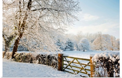 Country Gate In Winter, Norfolk, England