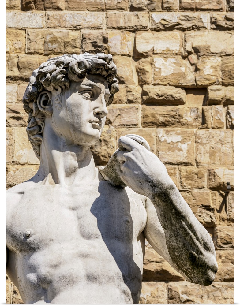 David Statue, Piazza della Signoria, Florence, Tuscany, Italy.