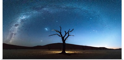 Deadvlei, Namib-Naukluft National Park, Namibia, Africa. Dead Acacia Trees At Night.