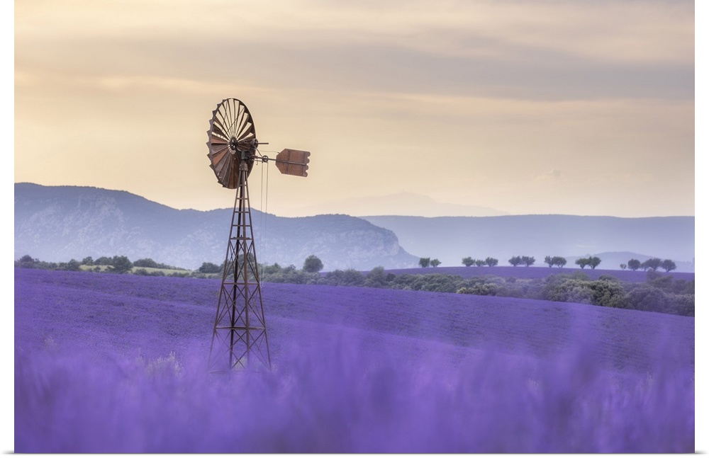 Dissused wind pump amongst lavender fields, Valensole Plateau, Provence, France