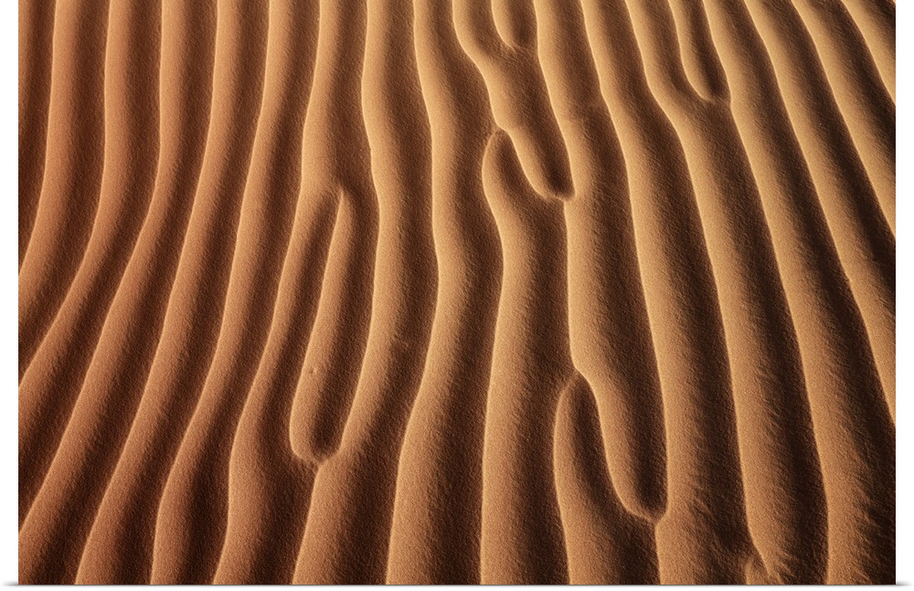 Dune landscape in Rub al-Khali. Oman, Dhofar, Ramlat Al Hashman. Rub al-Khali. Rub al-Khali, Middle East, Oman.