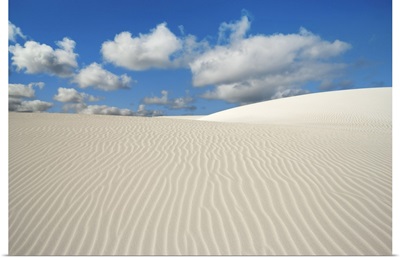 Dune Landscape Near Cervantes, Australia, Midwest, Nambung National Park