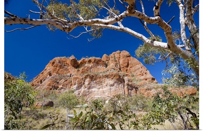 Echidna Chasm, Bungle Bungle National Park, Kimberley, Western Australia, Australia