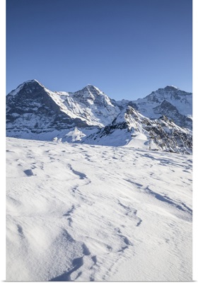 Eger, Monch, Jungfrau From Mannlichen, Jungfrau Region, Berner Oberland, Switzerland