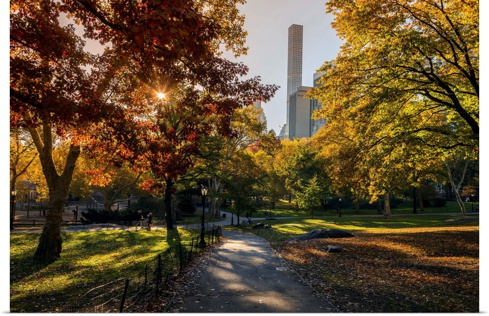 Fall foliage at Central Park, Manhattan, New York, USA.