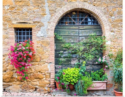 Flowers And Green Door, Monitisi, Tuscany, Italy