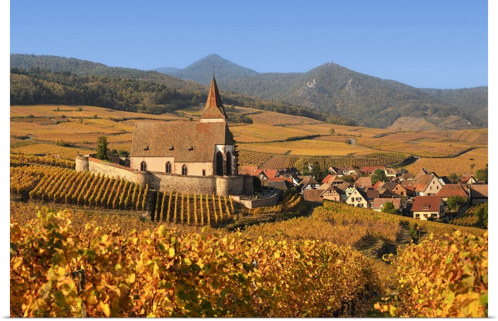 Fortified church of Saint Jacques, Hunawihr, Alsace, Alsatian Wine Route, Haut-Rhin, France.