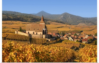 Fortified Church Of Saint Jacques, Hunawihr, Alsatian Wine Route, Haut-Rhin, France