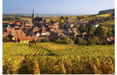 France, Alsace Region, Alasatian Wine Route, Blienschwiller, autumn