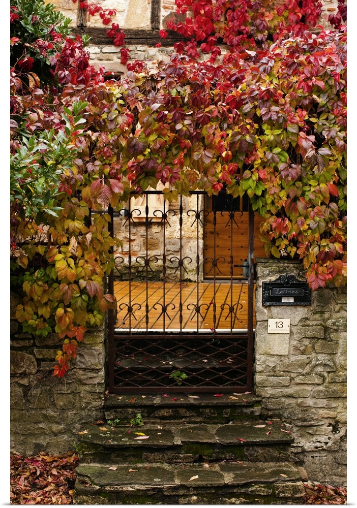 France, Midi-Pyrenees Region, Tarn Department, Cordes-sur-Ciel, gate with autumn foliage