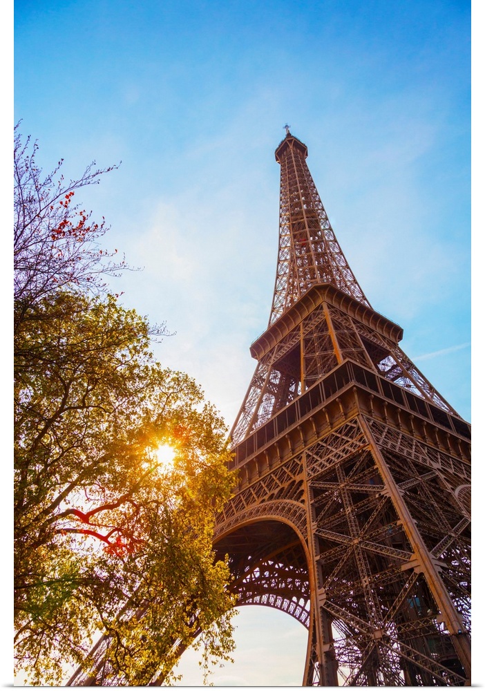 France, Paris, Eiffel Tower, sun behind tree.