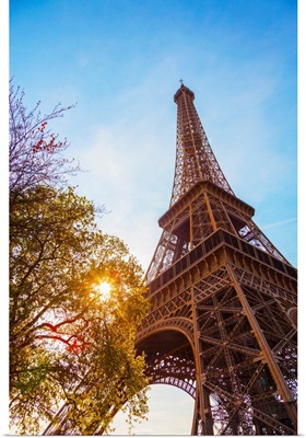 France, Paris, Eiffel Tower, Sun Behind Tree