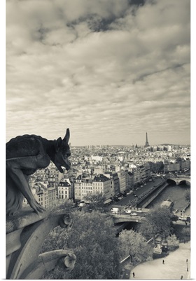 France, Paris, view from the Cathedrale Notre Dame cathedral with gargoyles