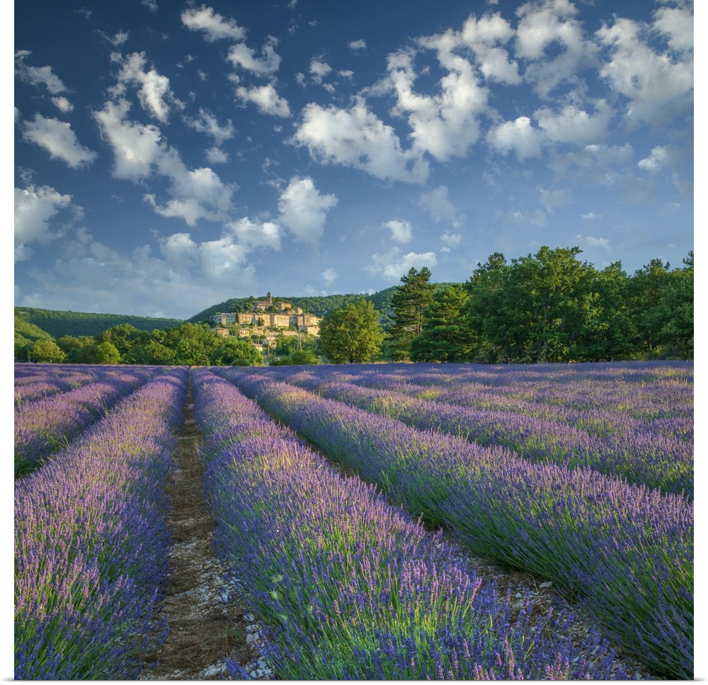 France; Provence; Provence-Alpes-Cote d'Azur; Banon