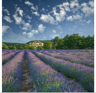 France, Provence, Provence-Alpes-Cote d'Azur, Banon