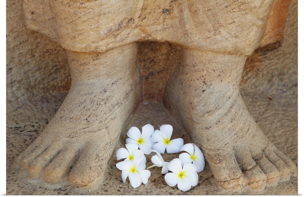 Frangipani flowers at feet of statue of Parakramabahu, Southern Ruins, Polonnaruwa (UNESCO World Heritage Site), North Cen...