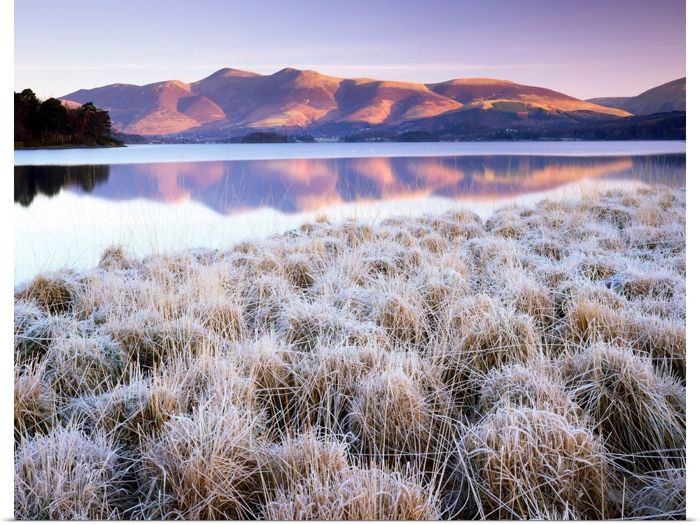 Frosted Grasses And Skiddaw Reflecting In Derwent Water, Lake District National Park, Cumbria, England