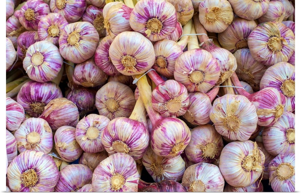 Garlic bulbs for sale at weekly farmer's market on Place de la Liberte, Sarlat-la-Caneda, Dordogne Department, Aquitaine, ...