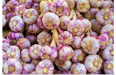 Garlic Bulbs, Farmer's Market, Place De La Liberte, Sarlat-La-Caneda, Aquitaine, France
