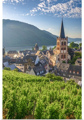 Germany, River Rhine, Bacharach, Church of Saint Peter, vineyard