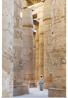 Guardian At The Karnak Temple, Luxor, Egypt, Africa