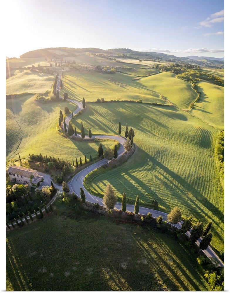 iconic cypresses road of Monticchiello at sunrise. Pienza, Orcia Valley, Siena district, Tuscany, Italy.