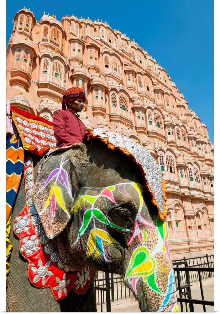 India, Rajasthan, Jaipur, Ceremonial decorated Elephant outside the Hawa Mahal, Palace of the Winds, built in 1799, (MR)