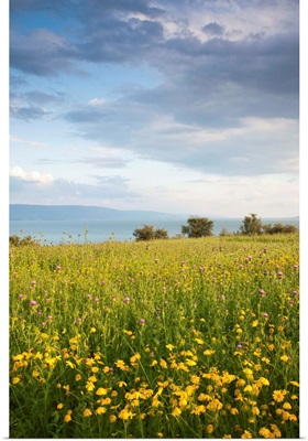Israel, The Galilee, Tiberias, Sea of Galilee-Lake Tiberias