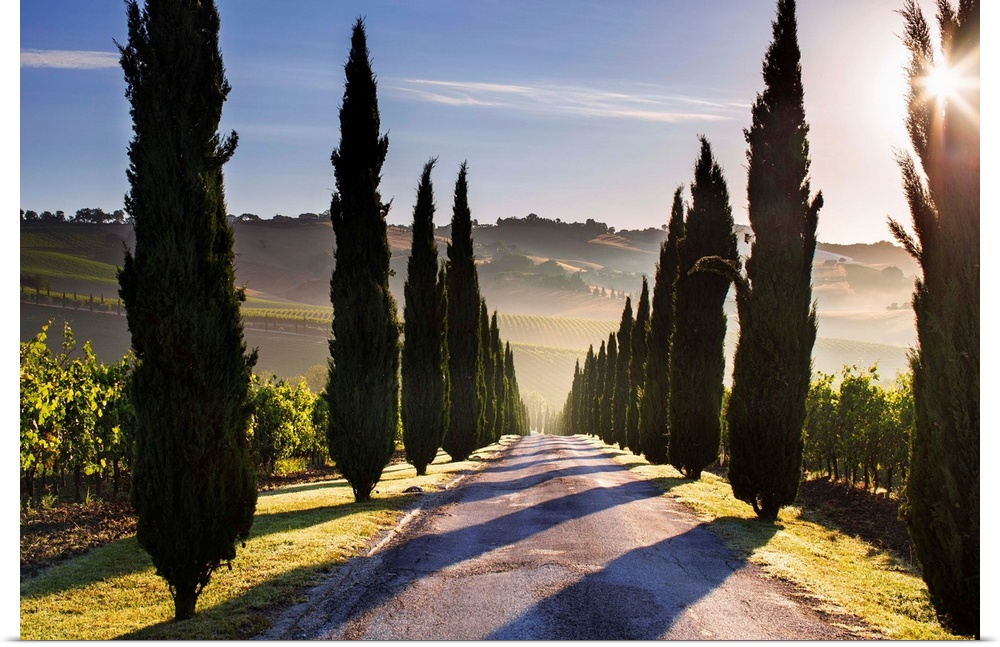 Italy, Marche, Macerata District, Urbisglia, Typical Marche Landscape Near Urbisaglia.