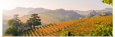 Italy, Piedmont, Cuneo District, Barolo, Langhe Barolo At Sunrise