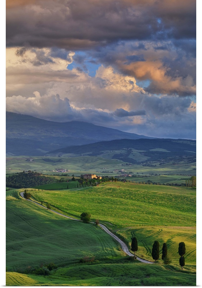 Italy, Tuscany, Siena district, Orcia Valley, country road near Pienza.