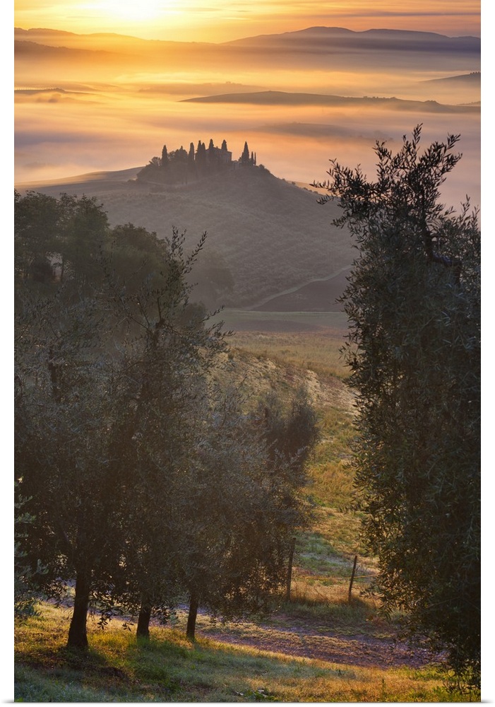 Italy, Tuscany, Siena district, Orcia Valley, Podere Belvedere near San Quirico d'Orcia.