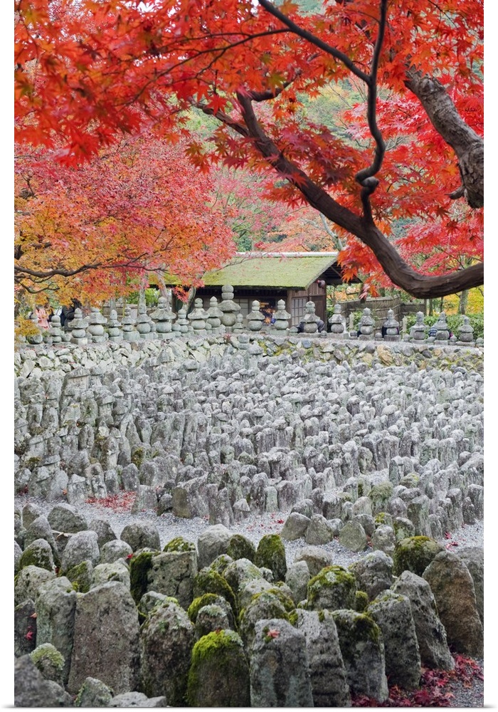 Asia, Japan. Kyoto, Sagano, Arashiyama, Adashino Nenbutsu dera temple, stone lanterns and buddha images.