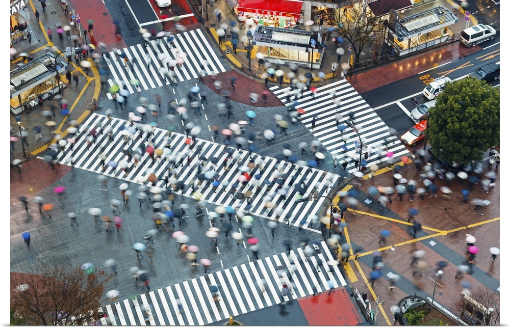 Asia, Japan, Tokyo, Shibuya, Shibuya Crossing - crowds of people crossing the famous crosswalks at the centre of Shibuyas ...