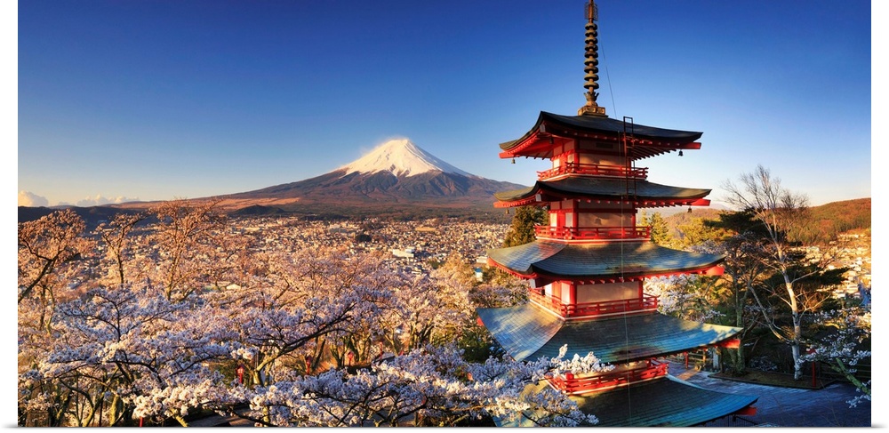 Japan, Yamanashi Prefecture, Fuji-Yoshida, Chureito Pagoda and Mt Fuji during Cherry Blossom Season.